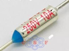 Fusível Térmico 180º 10 Ampêres 250V
