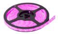 Fita Leds Rosa 5 Metros 60 LED'S Por Metro 5050 Leds Grande